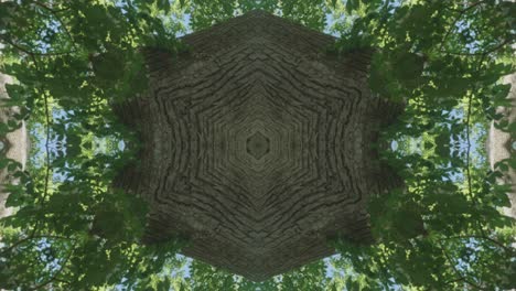 greenery kaleidoscope using forest imagery from wissahickon creek, philadelphia, #26