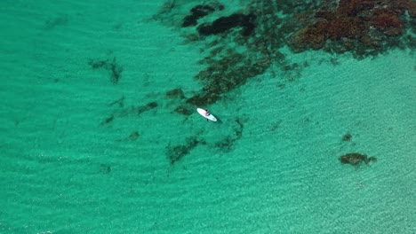 Vista-Aérea-De-Drones-De-Ojo-De-Pájaro,-Hembra-En-Tabla-De-Remo-De-Pie-En-Agua-De-Mar-Tropical-Clara-Y-Poco-Profunda-Y-Laguna,-Vista-De-Arriba-Hacia-Abajo