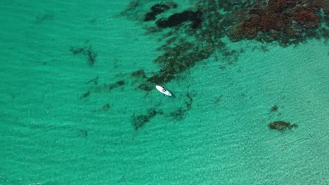 vista aérea de drones de ojo de pájaro, hembra en tabla de remo de pie en agua de mar tropical clara y poco profunda y laguna, vista de arriba hacia abajo