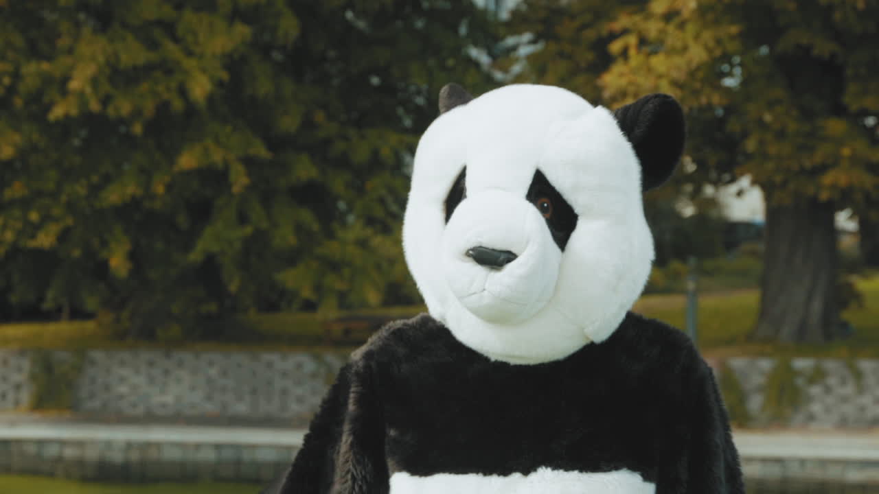 CloseUp of a guy in Panda costume working out on a pier at a lake