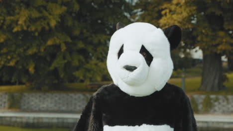 closeup of a guy in panda costume working out on a pier at a lake