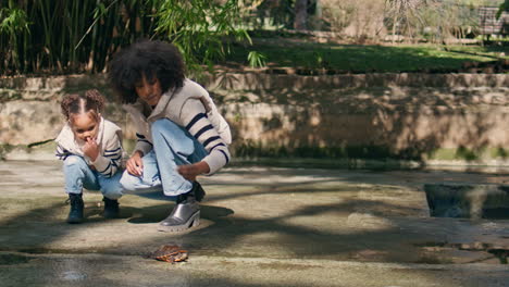 woman looking turtle with little daughter in park. family find tortoise.