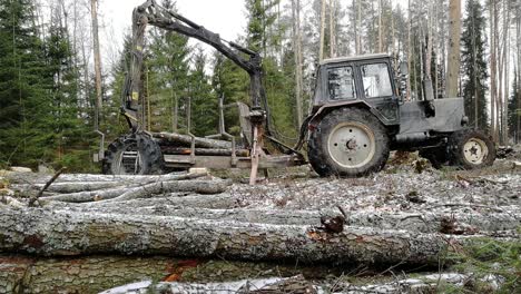 Levantando-Y-Poniendo-Troncos-Cortados-En-Un-Remolque-De-Tractor-En-El-Bosque,-Día-De-Invierno-Nevado