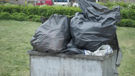 un cubo de basura lleno de basura en un parque