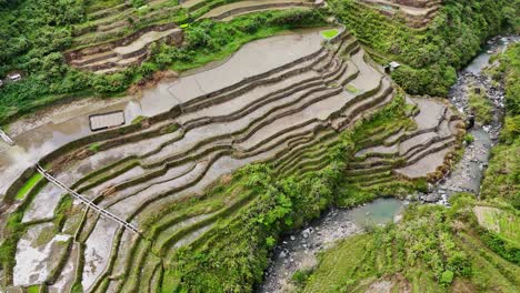 drone footage of maroon rice terraces of north philippines