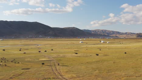 nomadic mongolian ger tents in bayan-olgii, altai mountains, aerial landscape