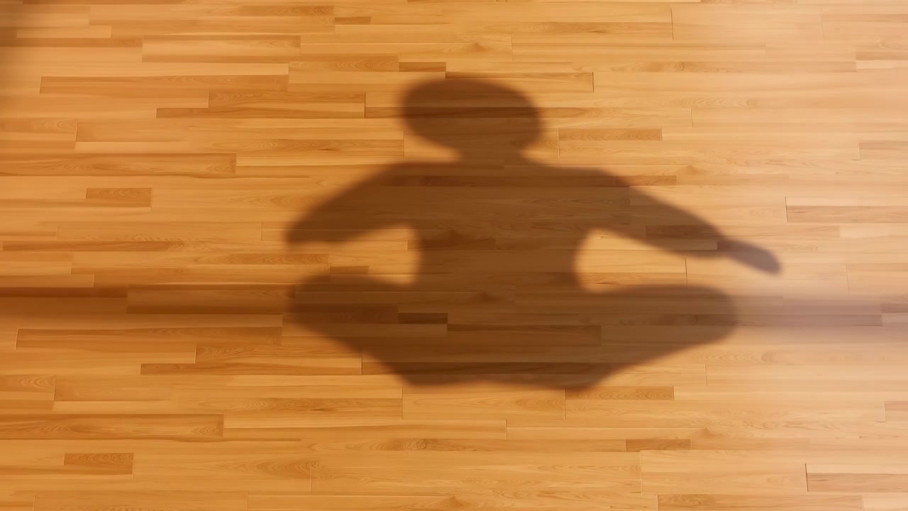 Human shadow drifts across narrow hardwood planks, showing rounded head, forward lean, extended arms, soft contour, warm sunlight, gentle fade, calm interior atmosphere, with shadow, silhouette