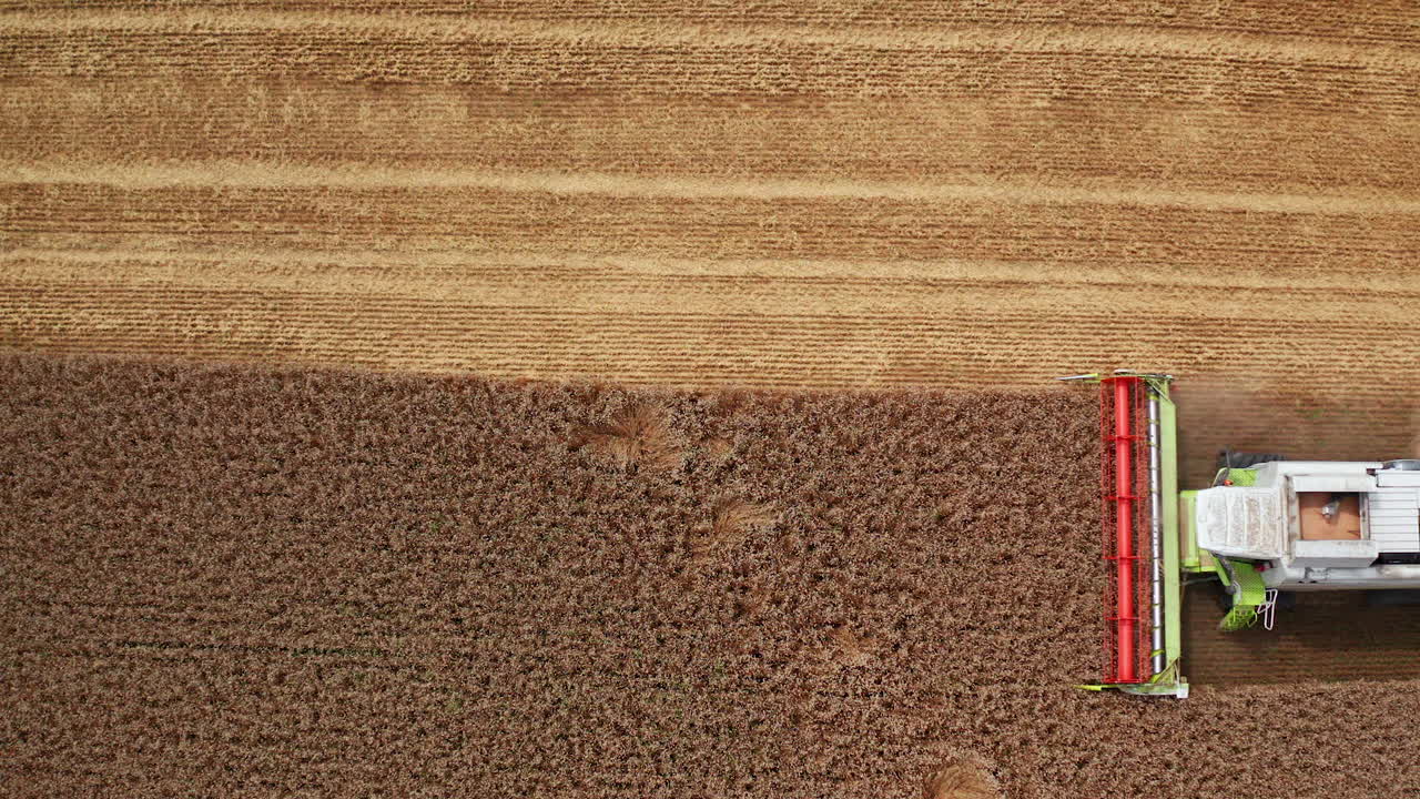 Up-to-date harvester combine cutting ripe wheat. Lots of dust and hay coming out from the working machine. Top view.