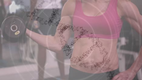 animación de la hilera de adn y procesamiento de datos sobre una mujer fuerte haciendo ejercicio