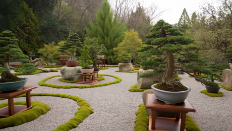 a serene japanese garden featuring an array of meticulously cultivated bonsai trees