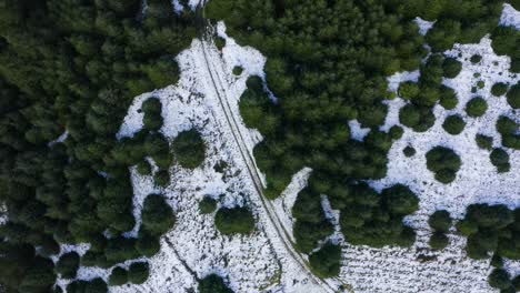 País-De-Las-Maravillas-Invernal:-Vista-Aérea-De-Arriba-Hacia-Abajo-Del-Bosque-Cubierto-De-Nieve-En-Las-Montañas-De-Wicklow