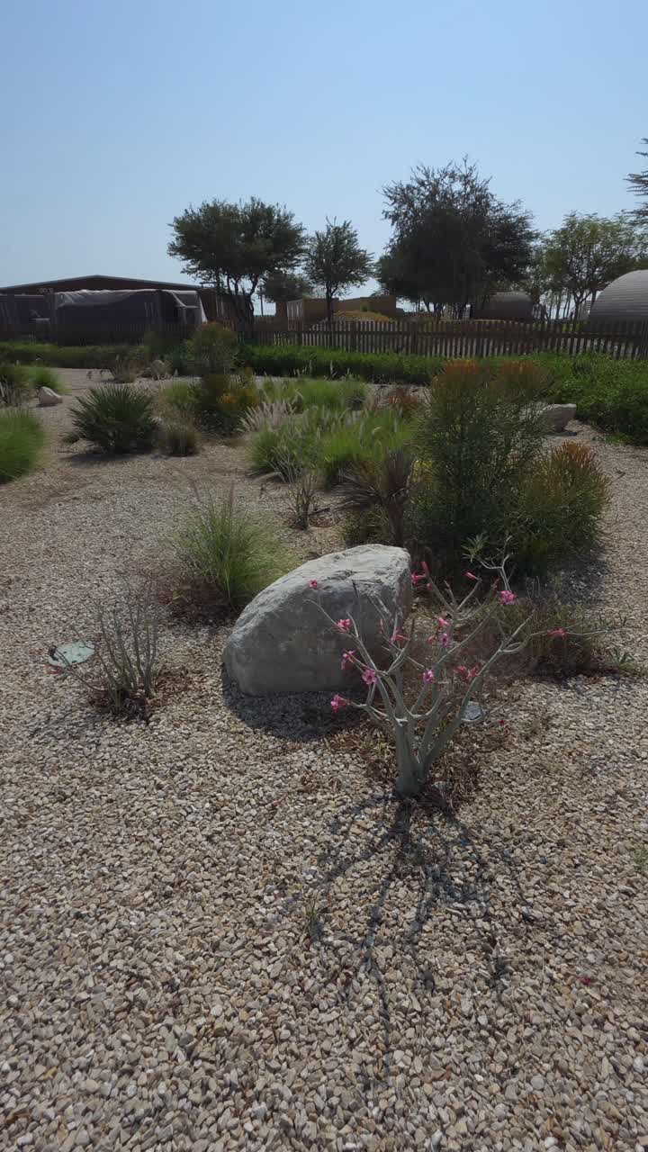 Una giornata suggestiva sull'isola di Hudayriyat ad Abu Dhabi, Emirati Arabi Uniti.