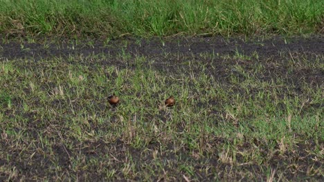 Two-individuals-in-the-middle-of-the-field-resting-under-the-heat-of-the-sun-during-a-windy-afternoon