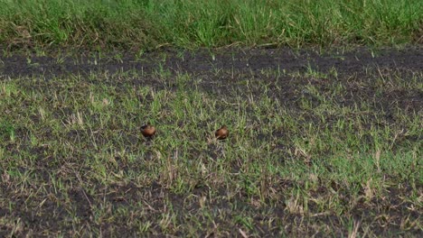 dos individuos en medio del campo descansando bajo el calor del sol durante una tarde ventosa