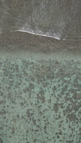 drone tracking crosses over shallow water, waves breaking on shallow fringing reef in ocean