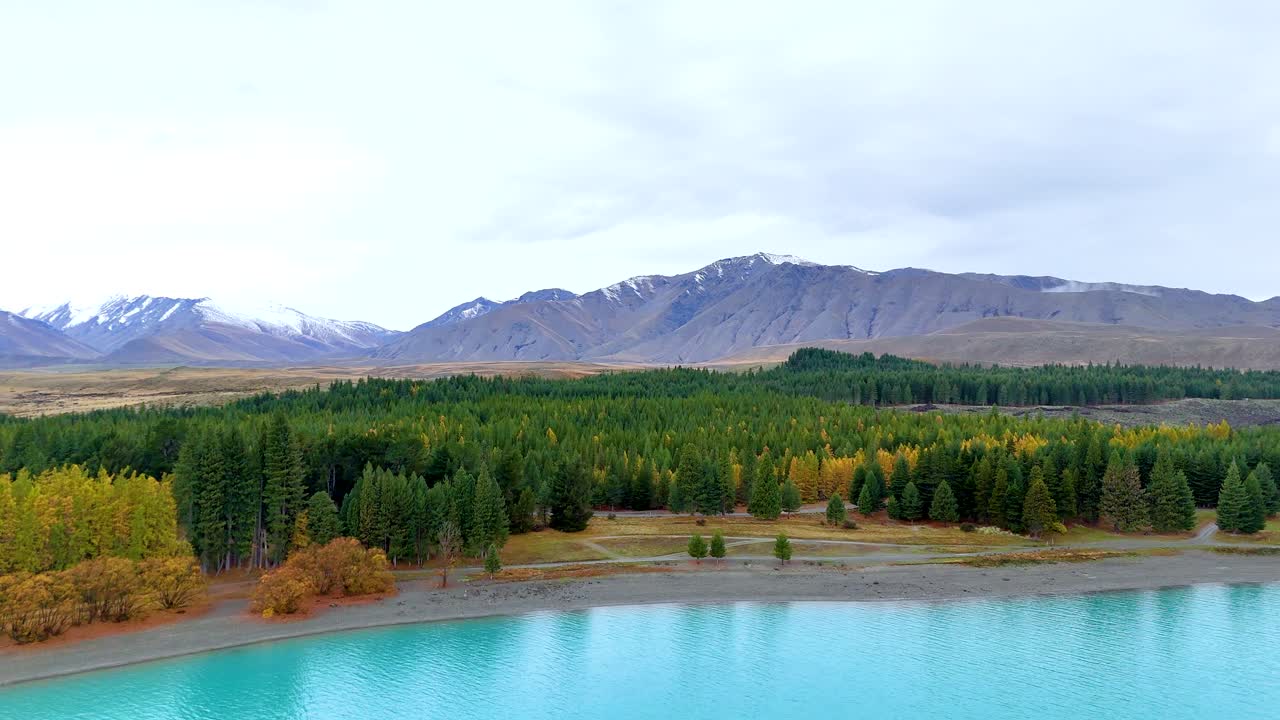 A tranquil view of Lake Tekapo with lush forests and distant mountains under soft, natural lighting