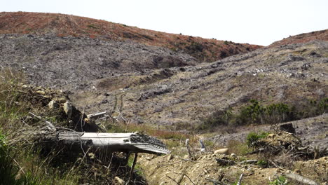 Paisaje-Rural-Nueva-Zelanda