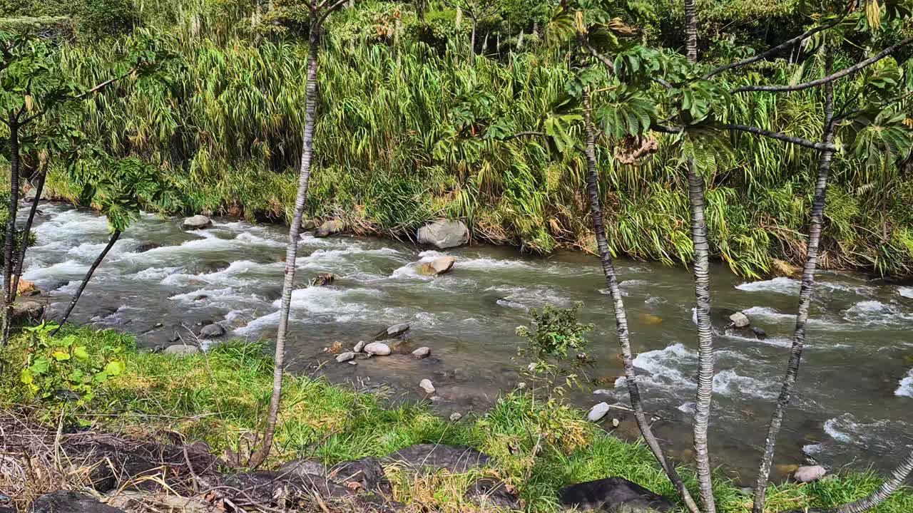 Caldera River in Green Landscape of Panama and Boquete Town