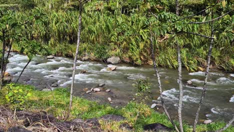 caldera river in green landscape of panama and boquete town