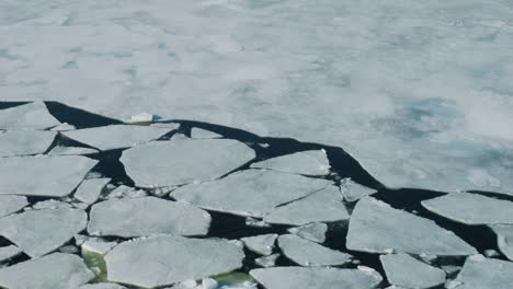 Drifting-arctic-ice-floats-in-Barents-Sea,-slow-top-down-view-from-helicopter