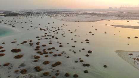 Drone-tilt-up-to-reveal-of-City-in-distant-Sunset-over-turquoise-water-sea-plants