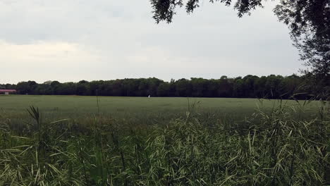 silhouette of man walking on the field