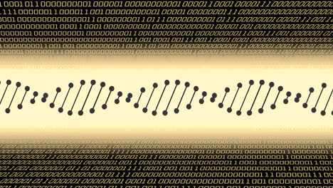 animación del procesamiento de datos con cadena de adn sobre fondo negro