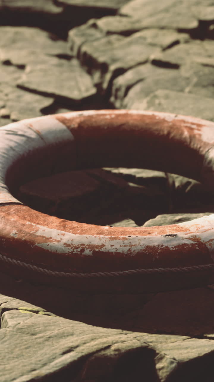 Livredderkrans ligger på solbeskinnede klipper ved vandet og reflekterer naturens skønhed