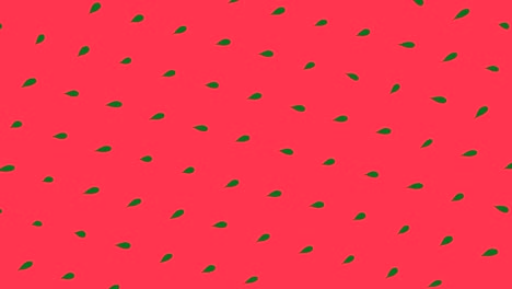 watermelon pattern