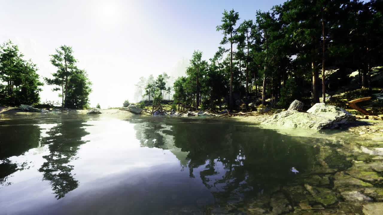 Calm water reflecting trees in a serene natural landscape