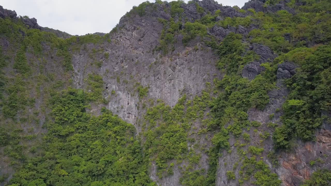 vista aérea de acantilados de piedra caliza con vegetación en el nido, palawan, el pedestal de filipinas