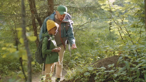 man showing ant hill in woods to little son