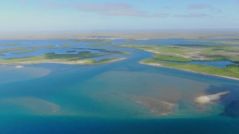 aerial view moving forward shot, scenic view of mangrove forest in adolfo lopez mateos baja california sur, mexico, blue sky in the background