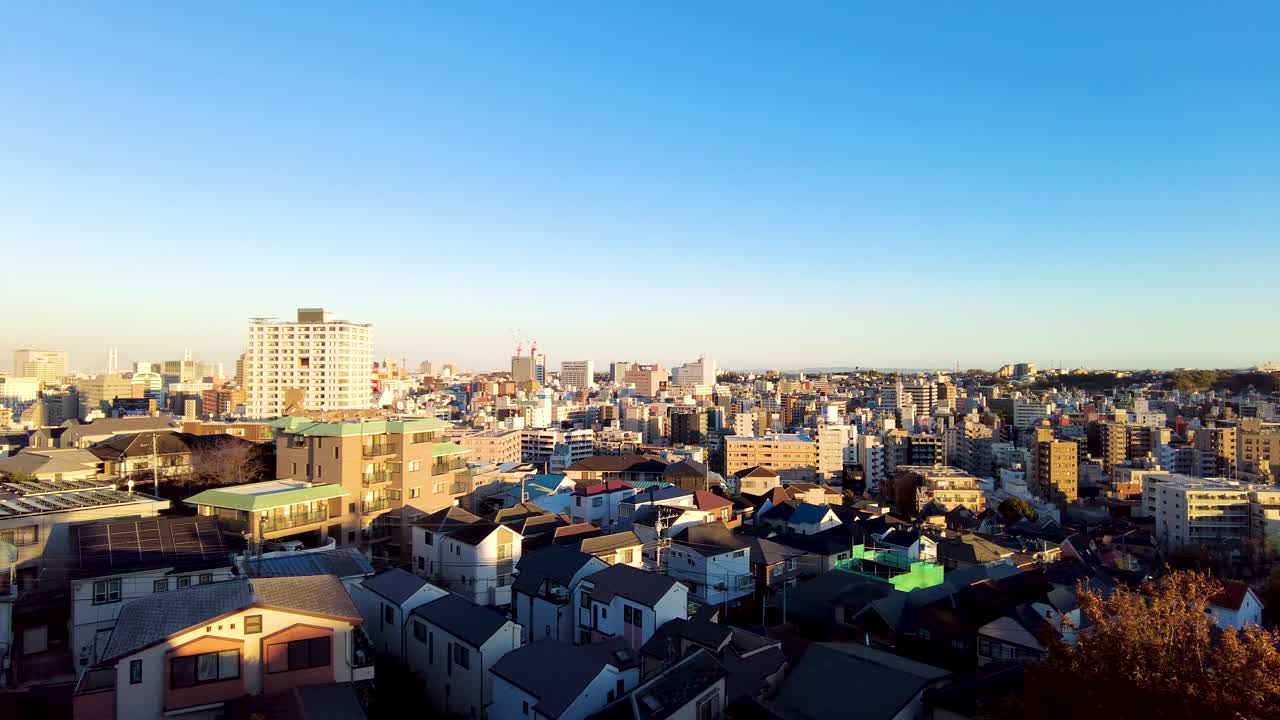 요코하마시 노게야마 공원의 아름다움