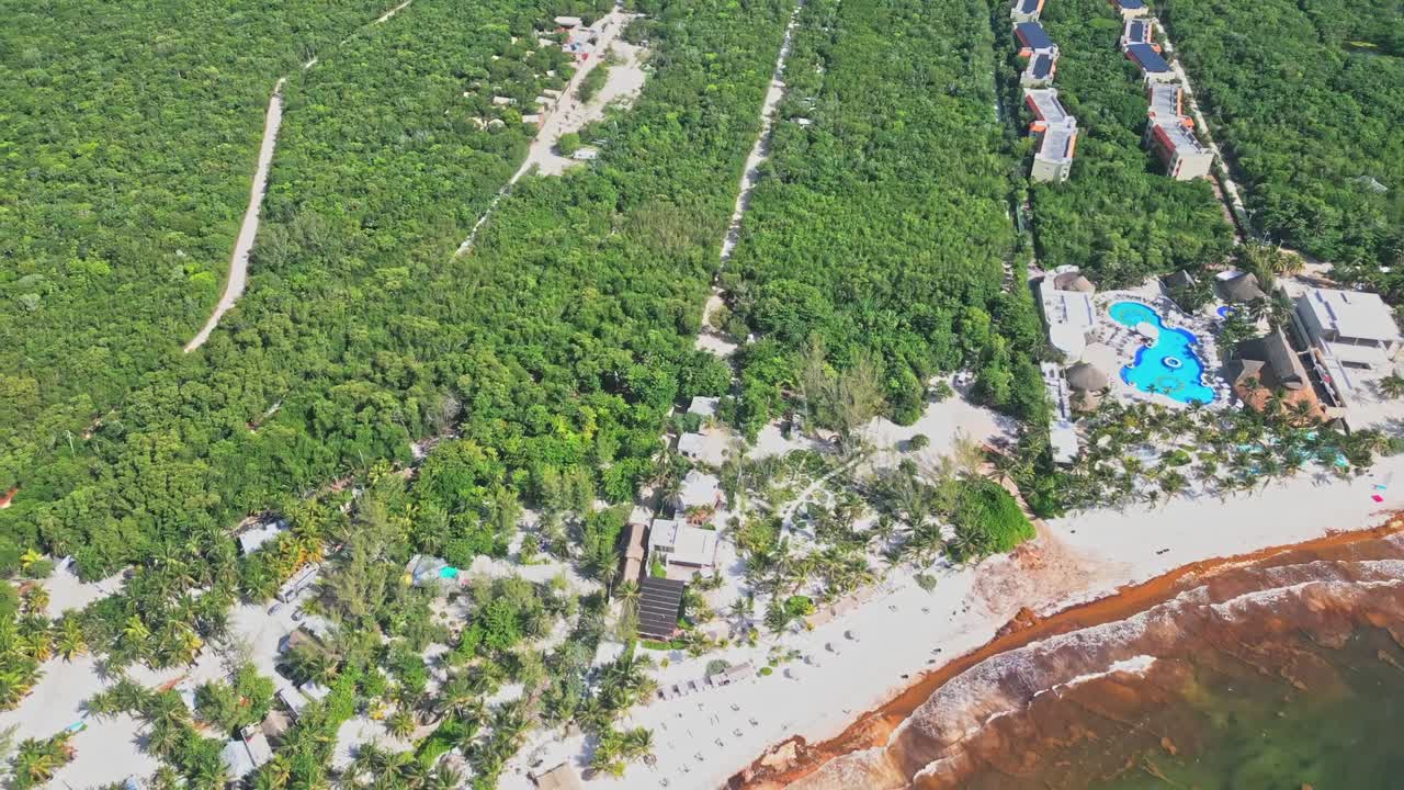 Aerial motion view, brown algae, white sandy beach, lush green habitat