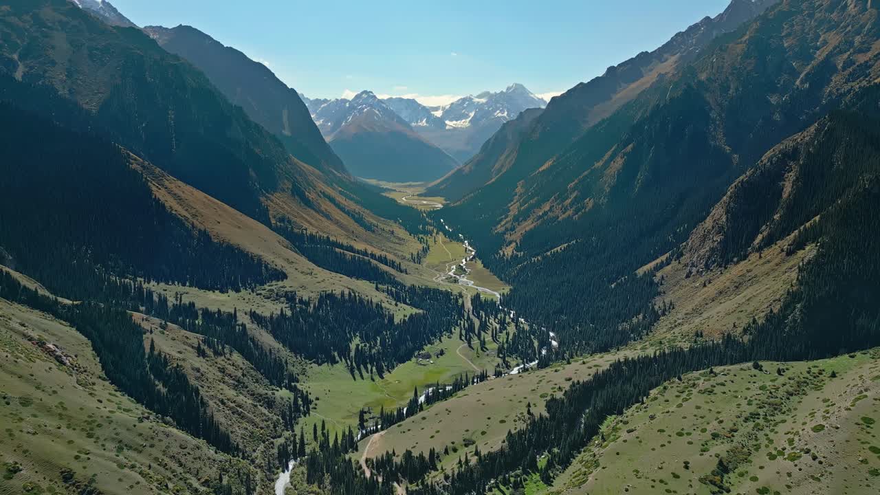 Wilderness woodland, valley pass, gorge water, Kyrgyzstan nature, aerial