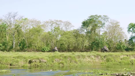 rainforest in the national park chitwan, nepal.