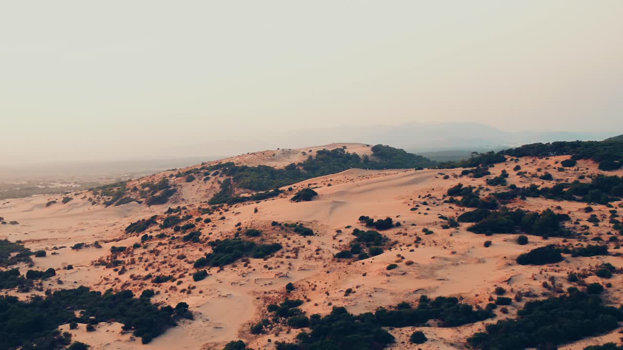 공중에서 보는 모습