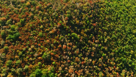 aerial tilt shot of a drought damage in a valley, summer day in istria, croatia