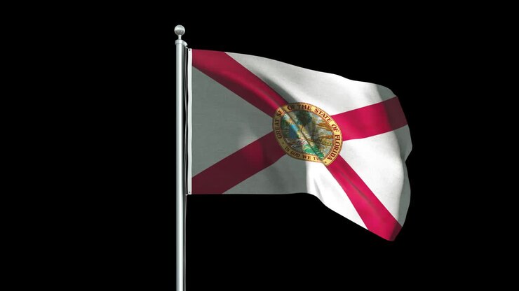 Bandiera della Florida, sfondo animato 4K