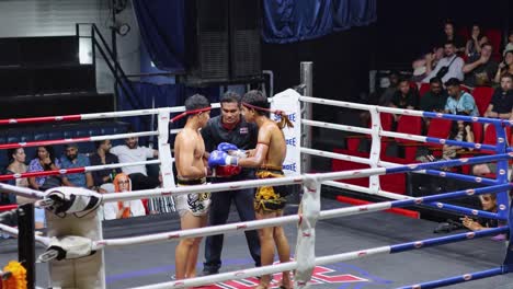 muay thai fight in progress