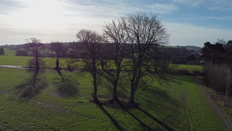 Imágenes-De-Drones-Subiendo-Con-Un-árbol-Sin-Hojas-Delante-De-él-Que-Muestra-El-Campo