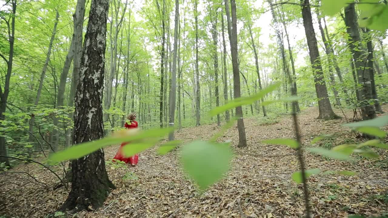 Pretty Woman Walking In The Forest. Pretty woman in a long red dress walking in the forest