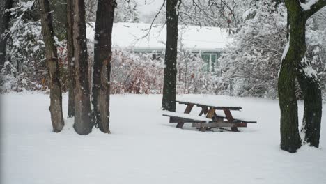 Viewing-a-backyard-during-a-snowstorm-in-the-winter