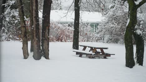 viewing a backyard during a snowstorm in the winter