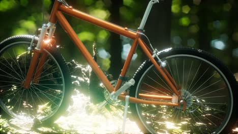 mountain bike on the forest path