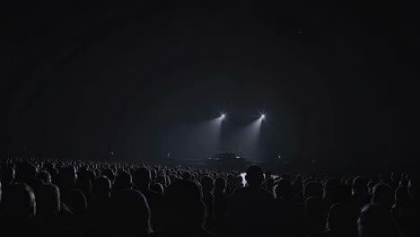 concert audience