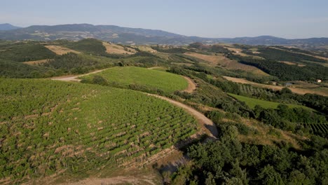 Drone-panorama-tracking-shot-of-a-panorama-in-tuscany-of-a-beautiful-vineyard-during-midday