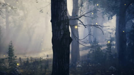 enchanted forest filled with glowing lights at twilight in the woods