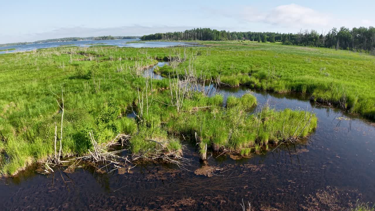Aerial view along wetland inlet to Lake Huron